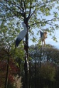 img_0440_crop